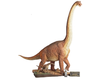 Picture of Tamiya 1/35 Brachiosauras Model Diorama Set